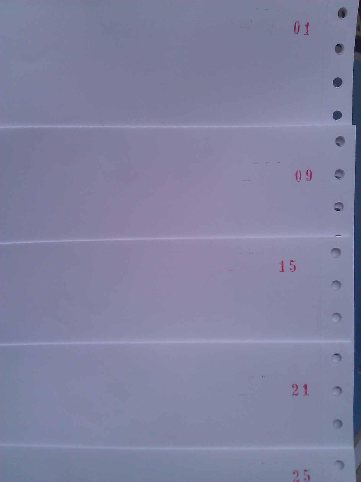 11x24 Numaralı Kağıt 1den 250ye 1-250 Sürekli Form Matbaa Baskısı