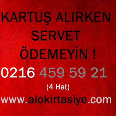 Brother DCP-1512R Görüntü Tamburu